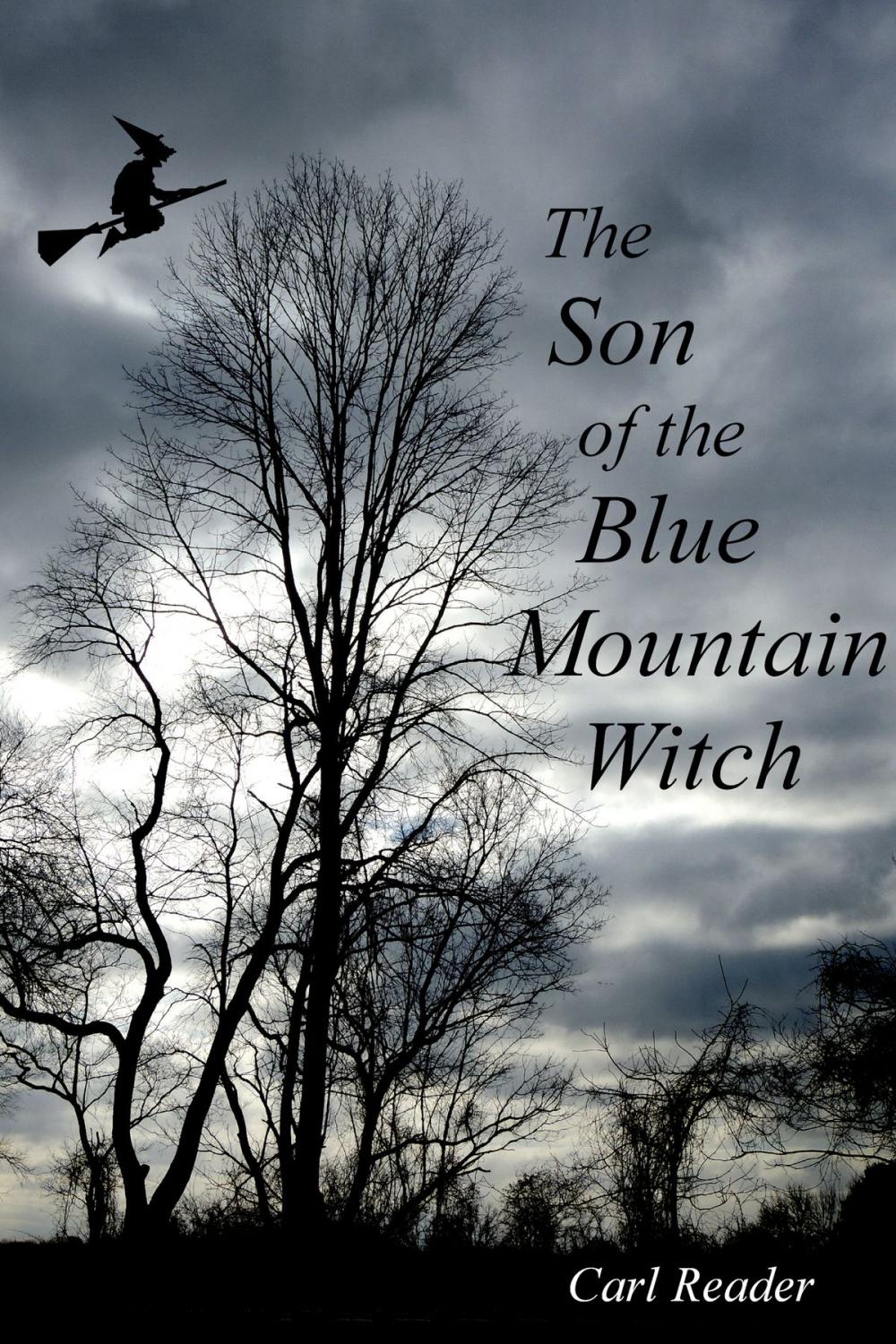 Big bigCover of The Son of the Blue Mountain Witch