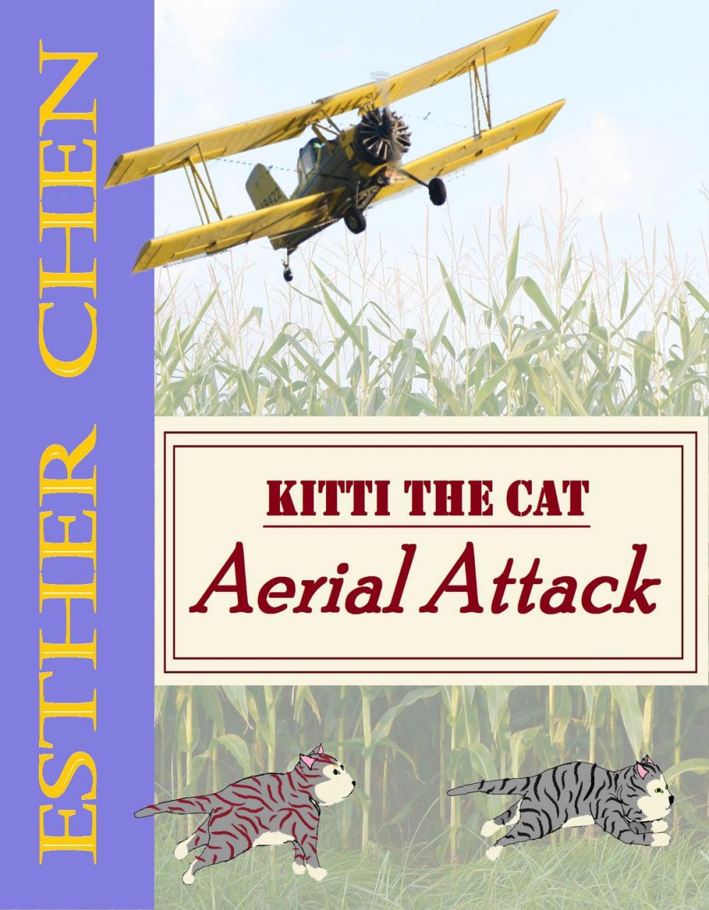 Big bigCover of Kitti The Cat: Aerial Attack