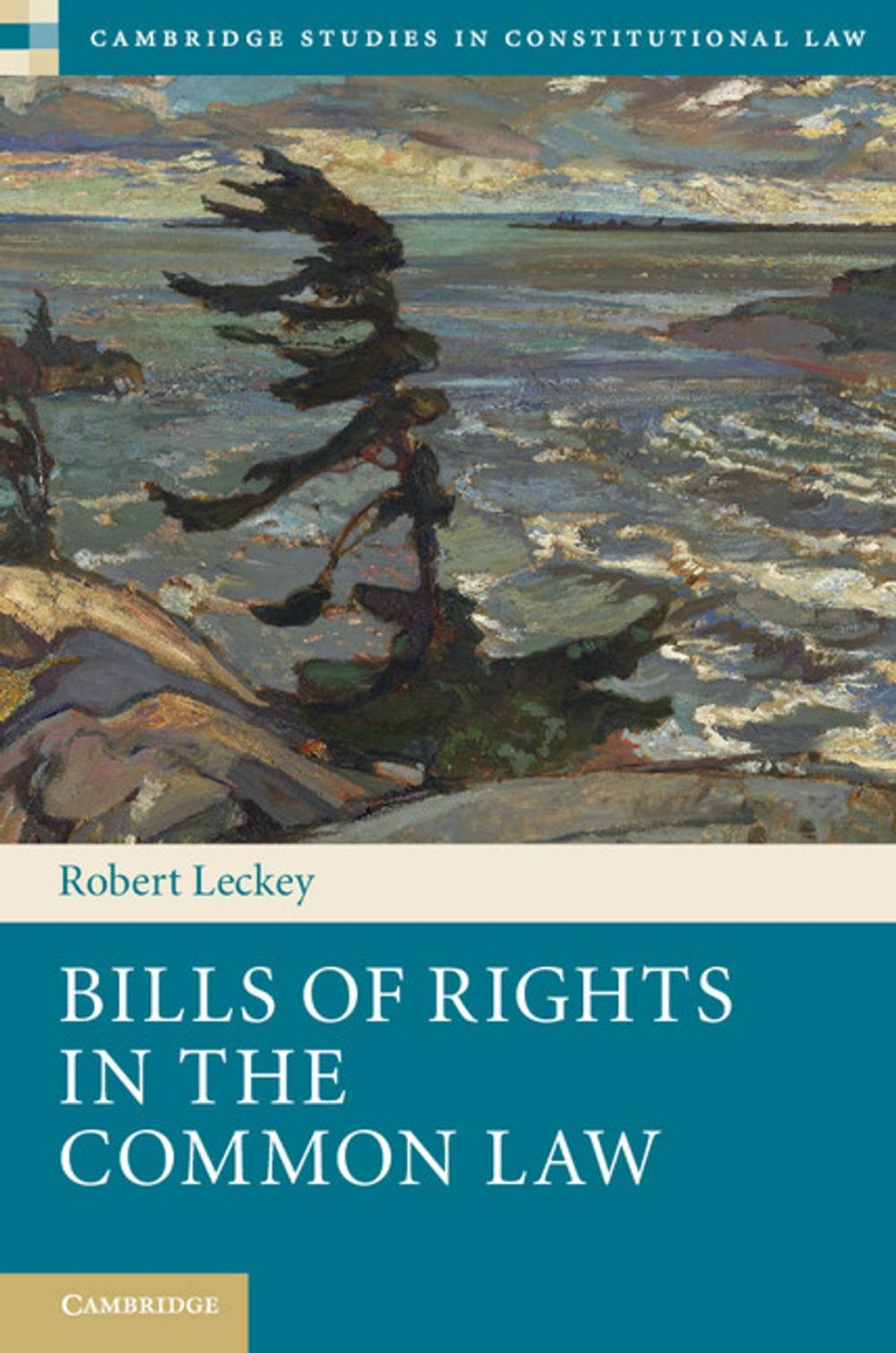 Big bigCover of Bills of Rights in the Common Law