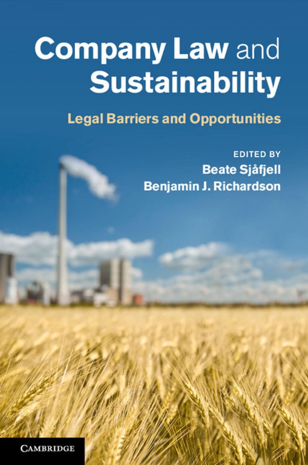 Big bigCover of Company Law and Sustainability