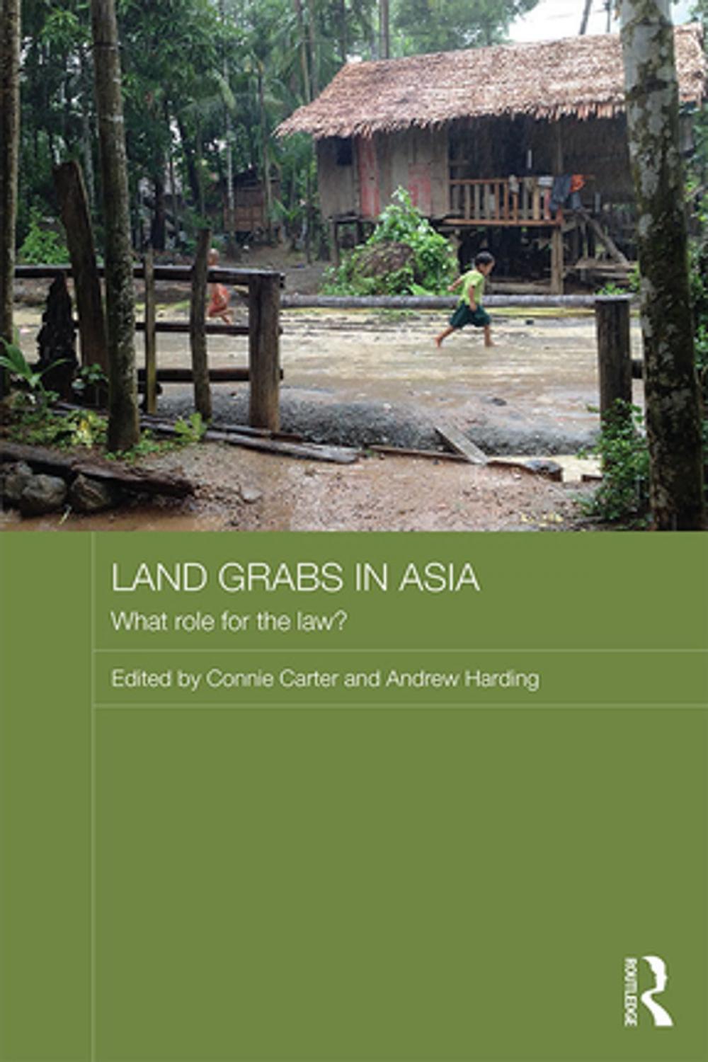 Big bigCover of Land Grabs in Asia