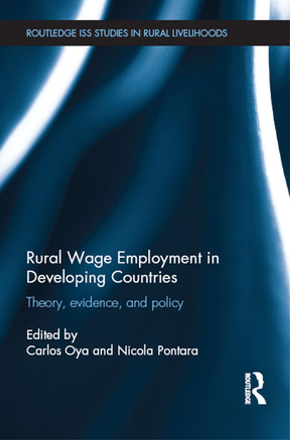 Big bigCover of Rural Wage Employment in Developing Countries