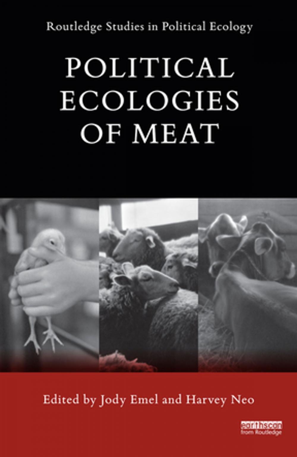 Big bigCover of Political Ecologies of Meat