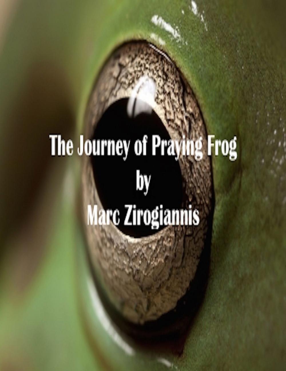 Big bigCover of The Journey of Praying Frog