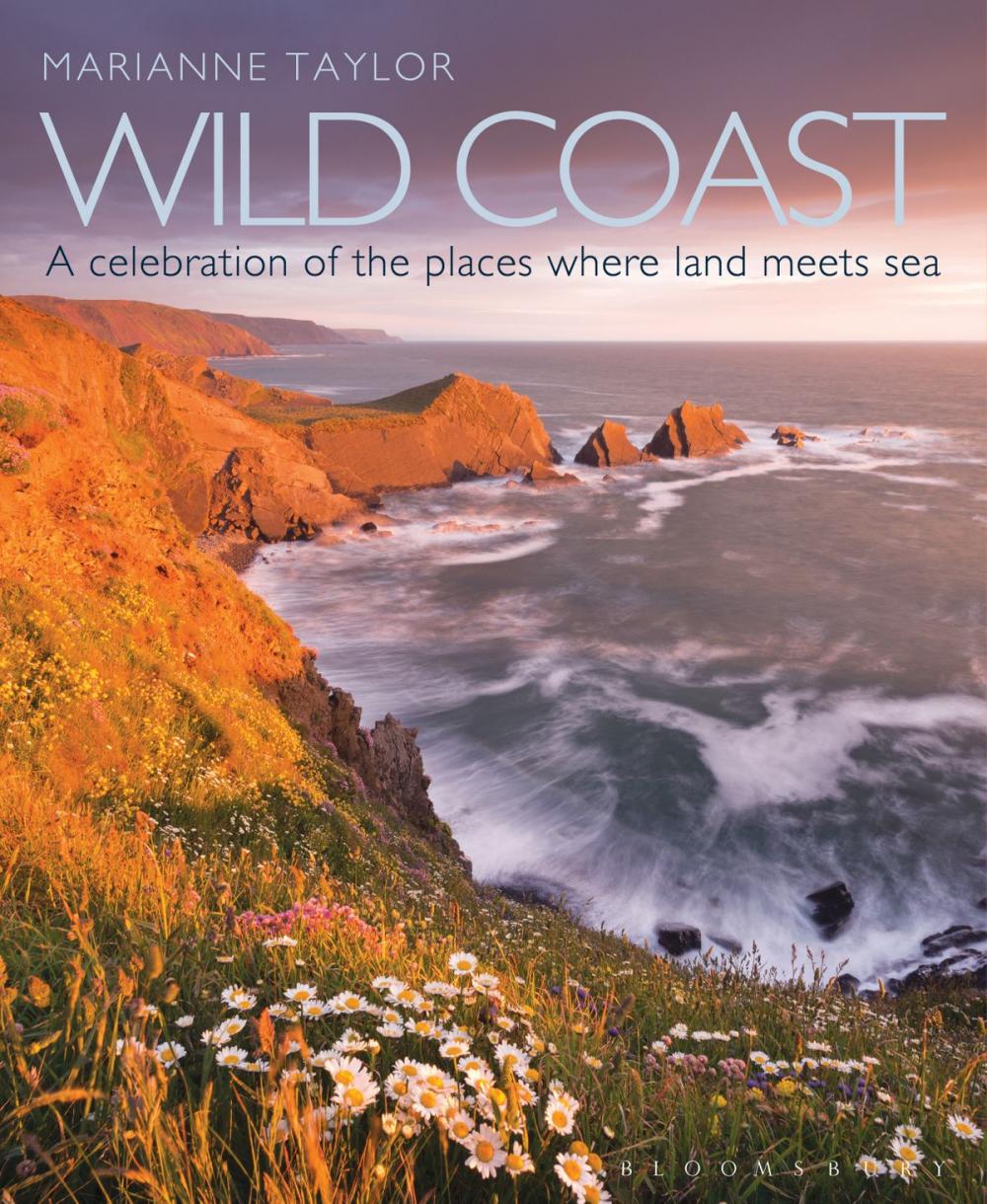 Big bigCover of Wild Coast