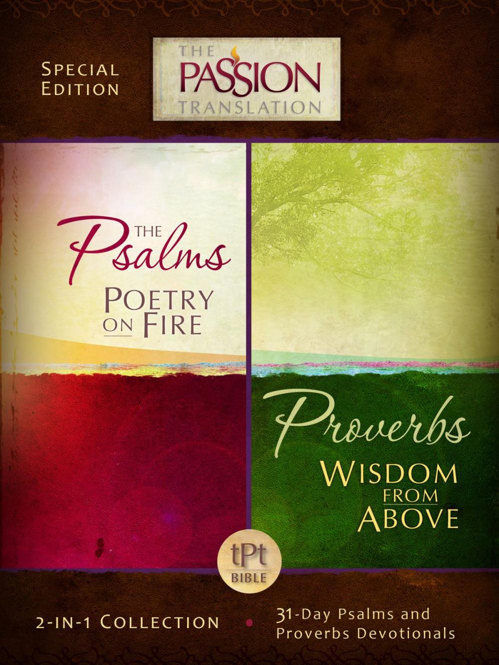 Big bigCover of Psalms Poetry on Fire and Proverbs Wisdom From Above