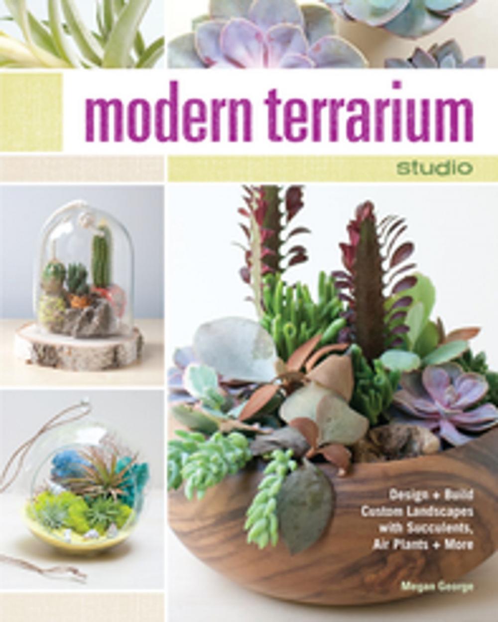 Big bigCover of Modern Terrarium Studio