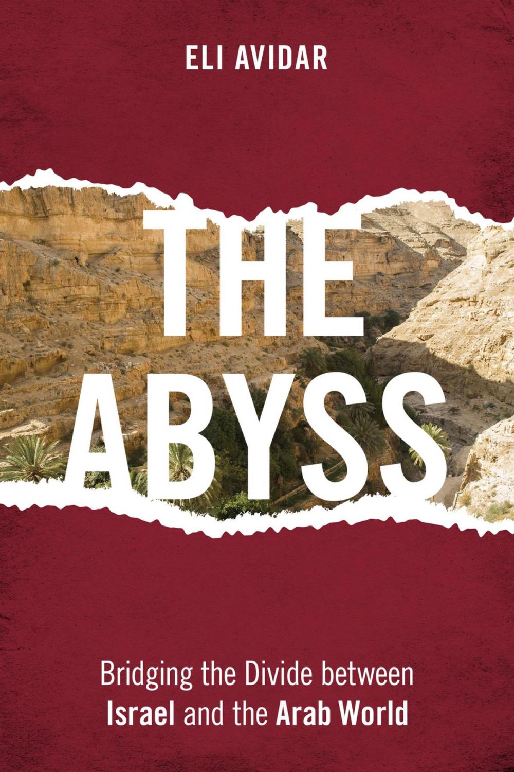 Big bigCover of The Abyss