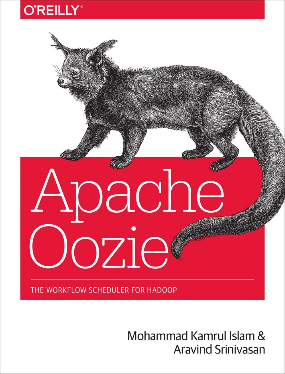 Big bigCover of Apache Oozie