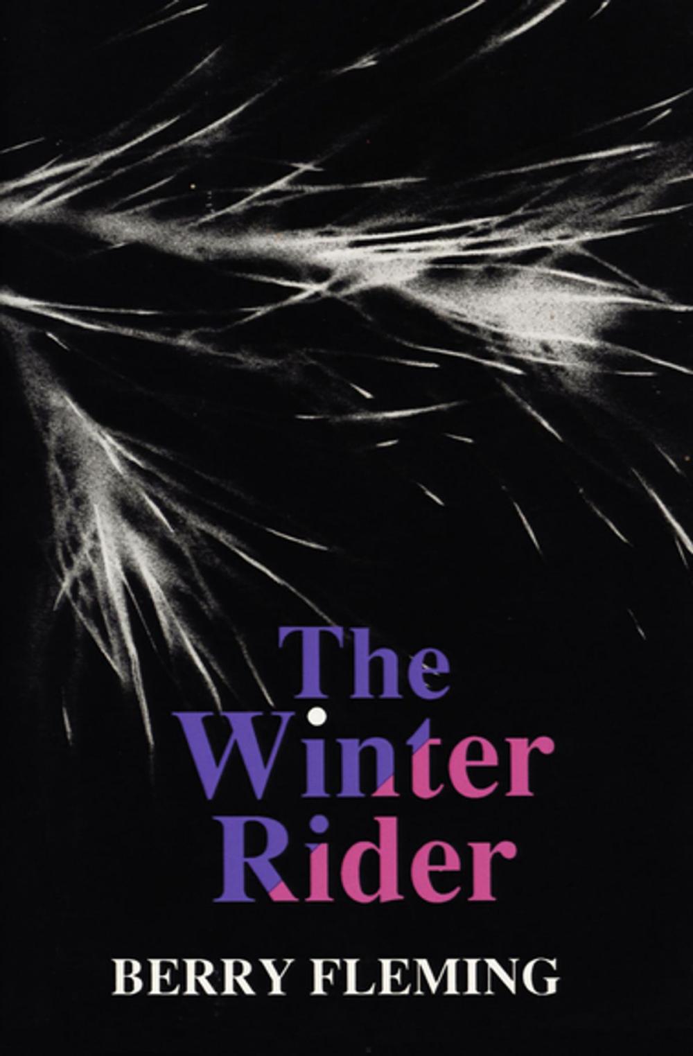 Big bigCover of The Winter Rider