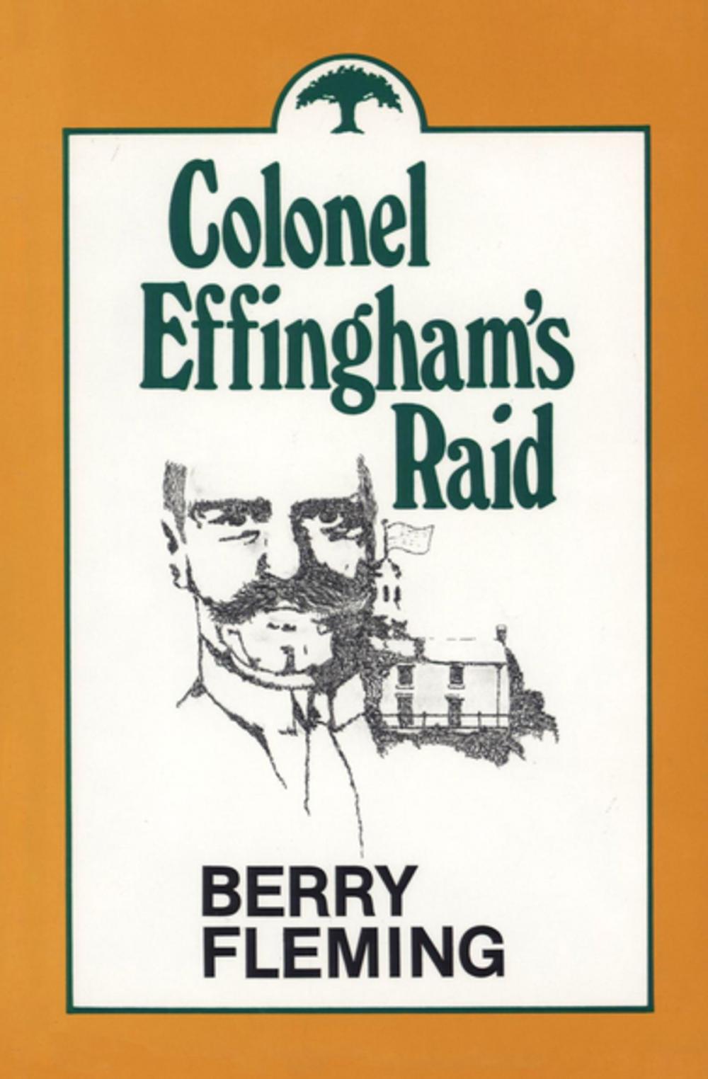 Big bigCover of Colonel Effingham's Raid