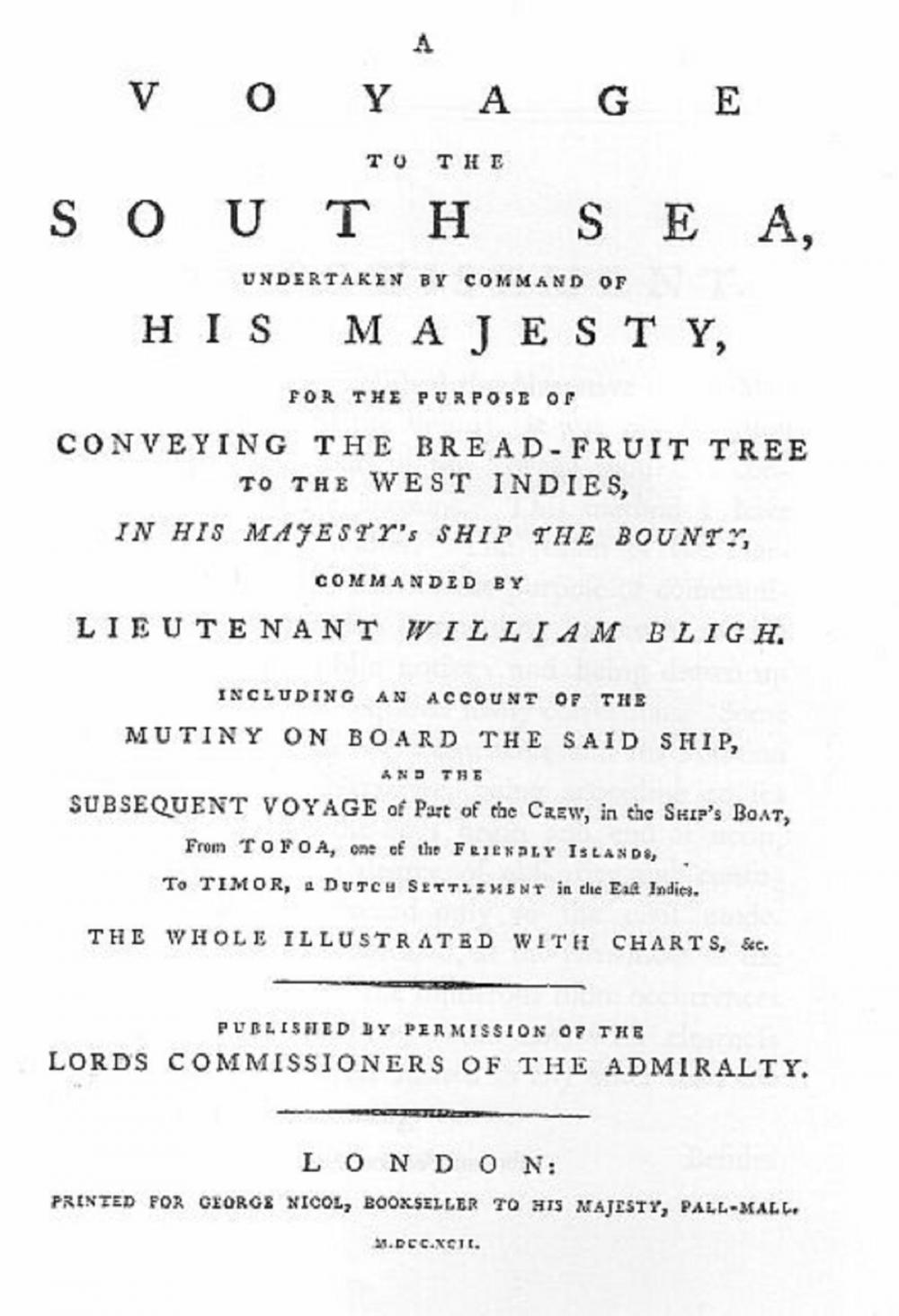 Big bigCover of A Voyage to the South Sea (Illustrated)