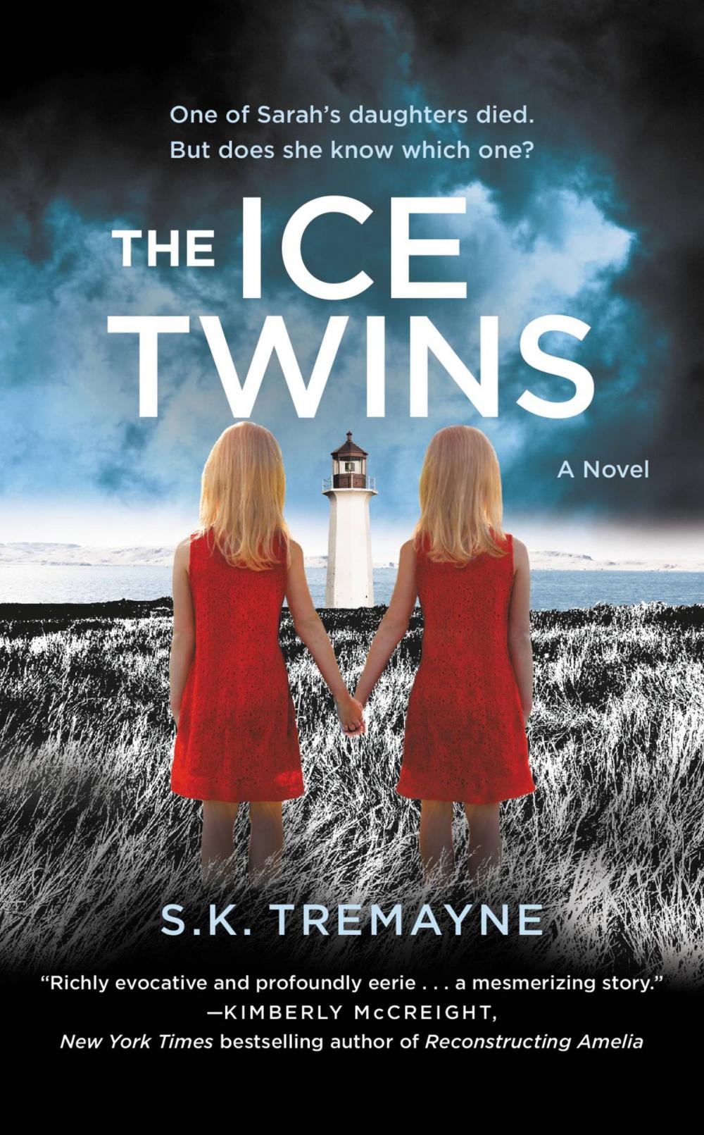 Big bigCover of The Ice Twins