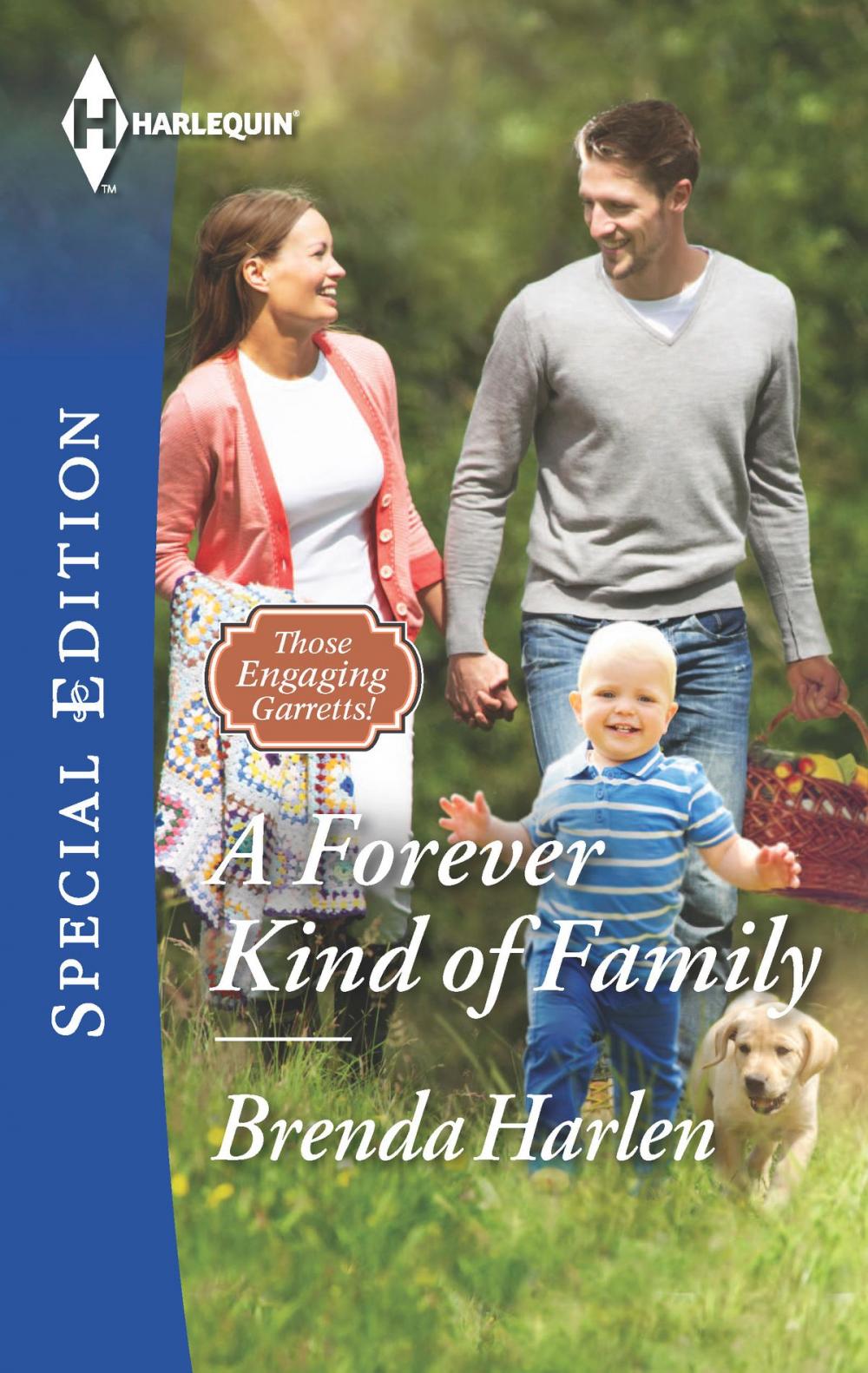 Big bigCover of A Forever Kind of Family