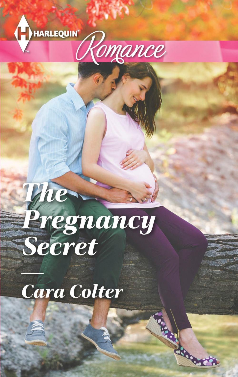 Big bigCover of The Pregnancy Secret