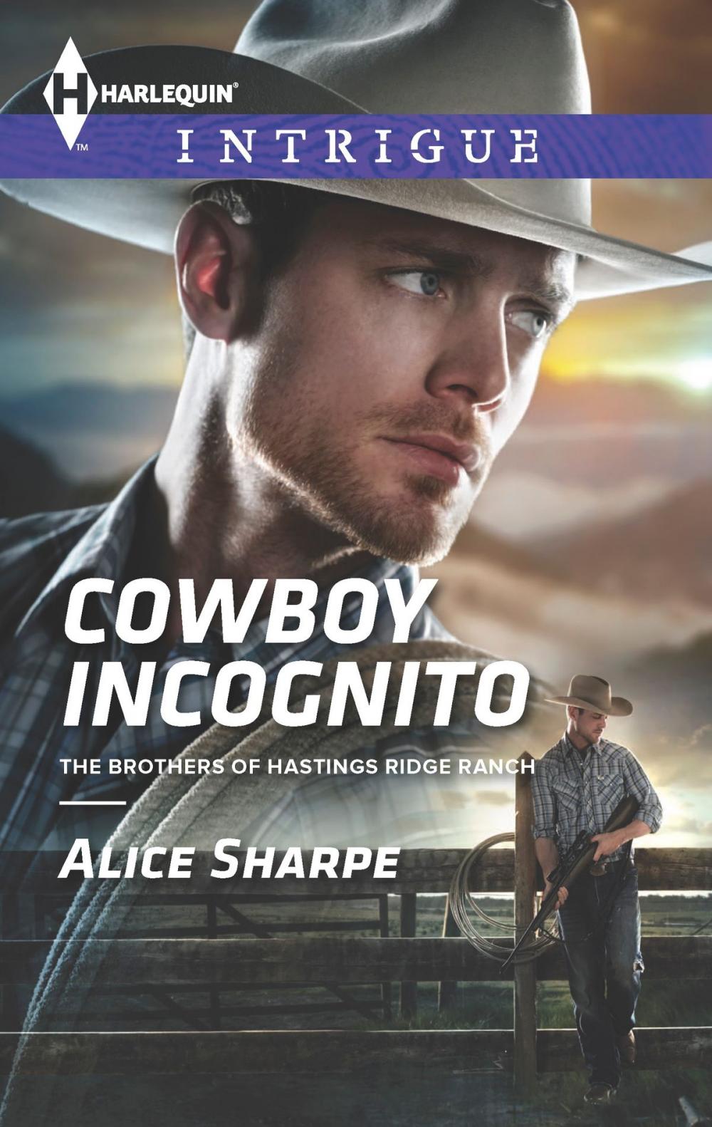 Big bigCover of Cowboy Incognito