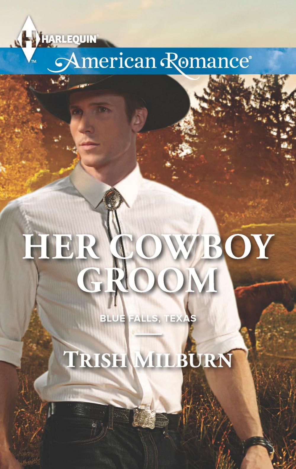 Big bigCover of Her Cowboy Groom