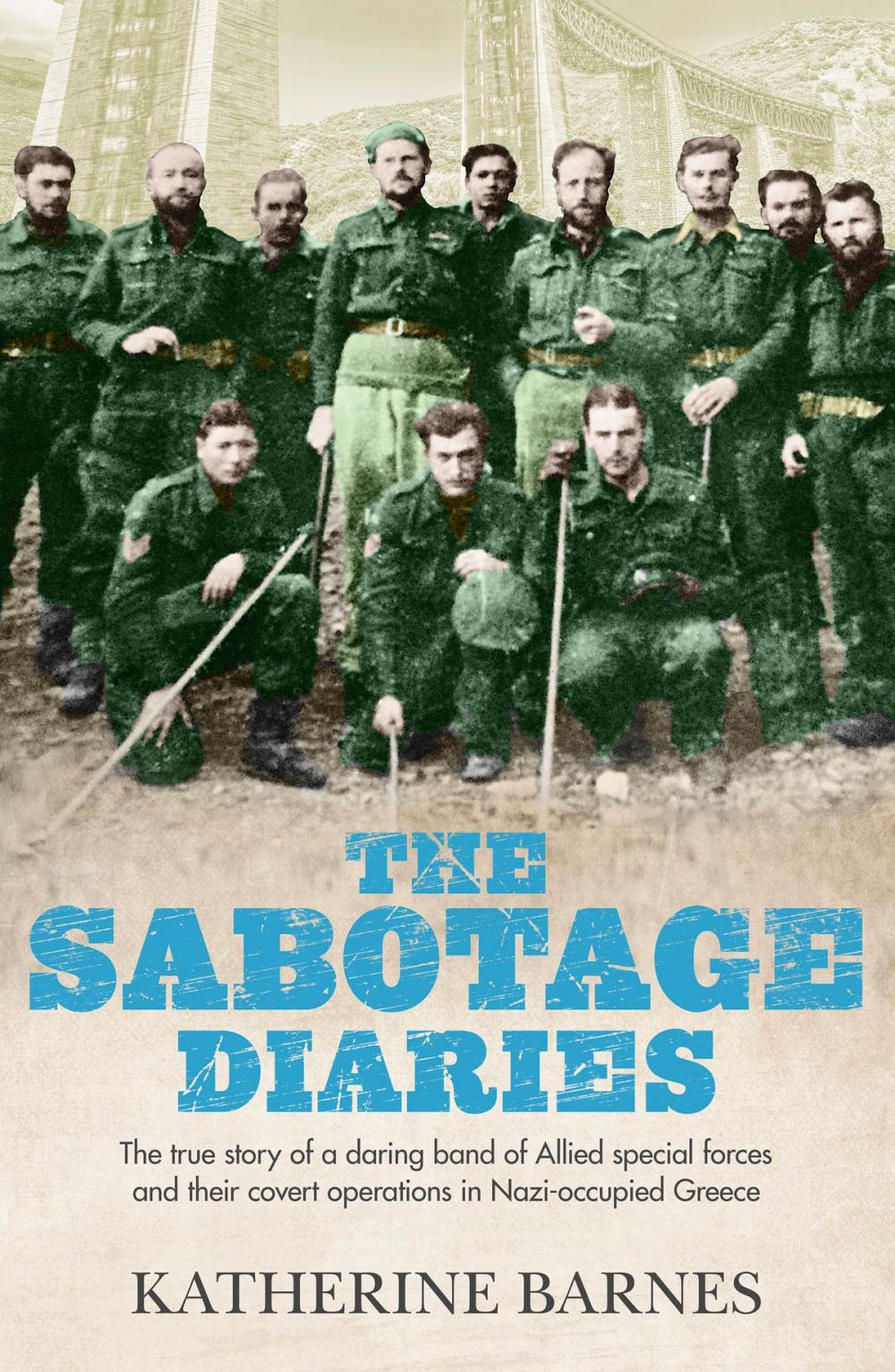 Big bigCover of The Sabotage Diaries