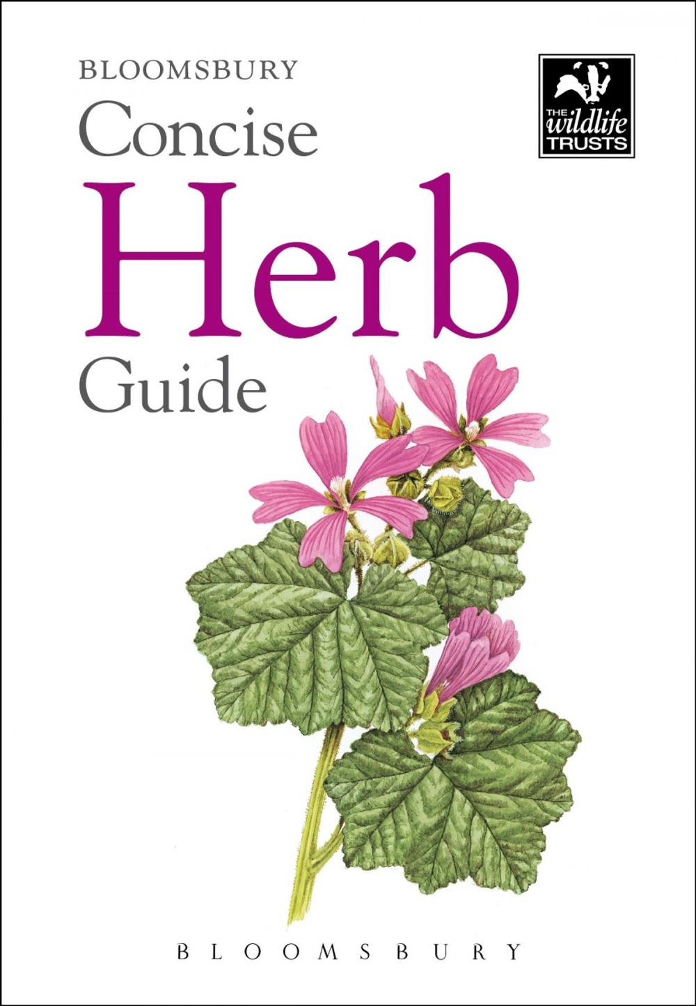 Big bigCover of Concise Herb Guide