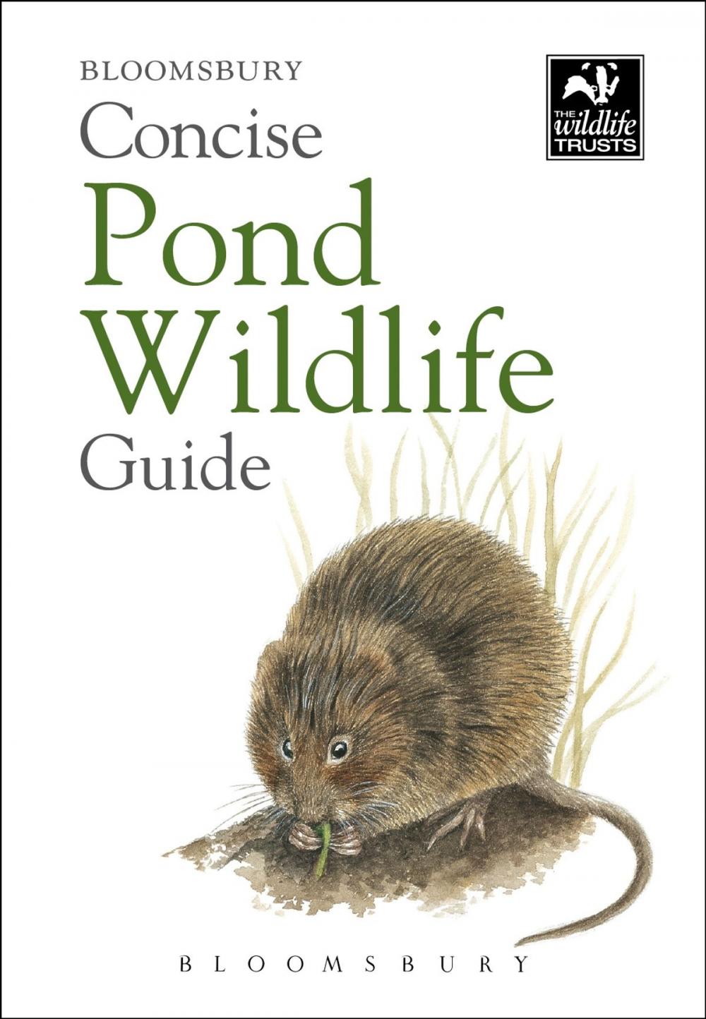 Big bigCover of Concise Pond Wildlife Guide