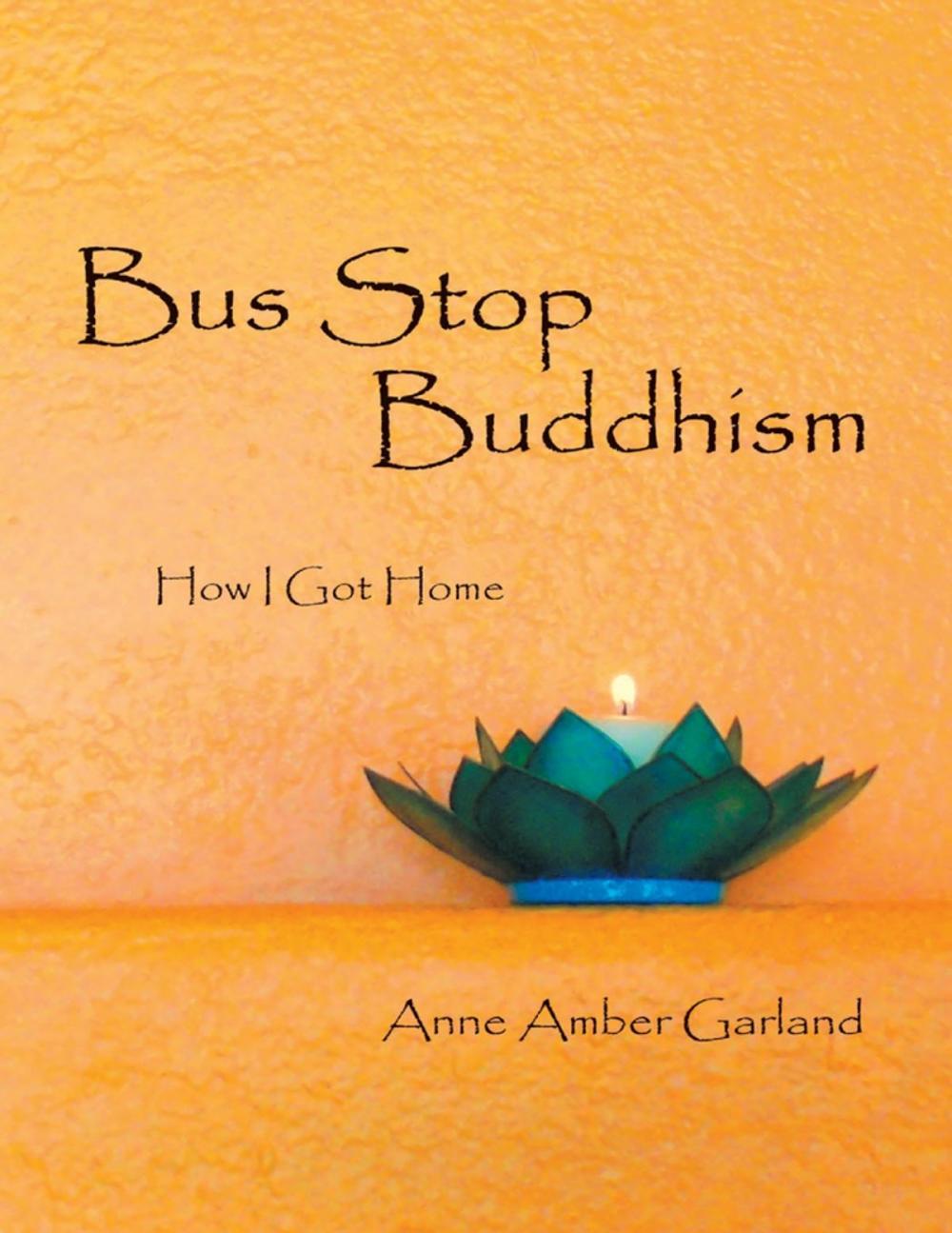 Big bigCover of Bus Stop Buddhism: How I Got Home