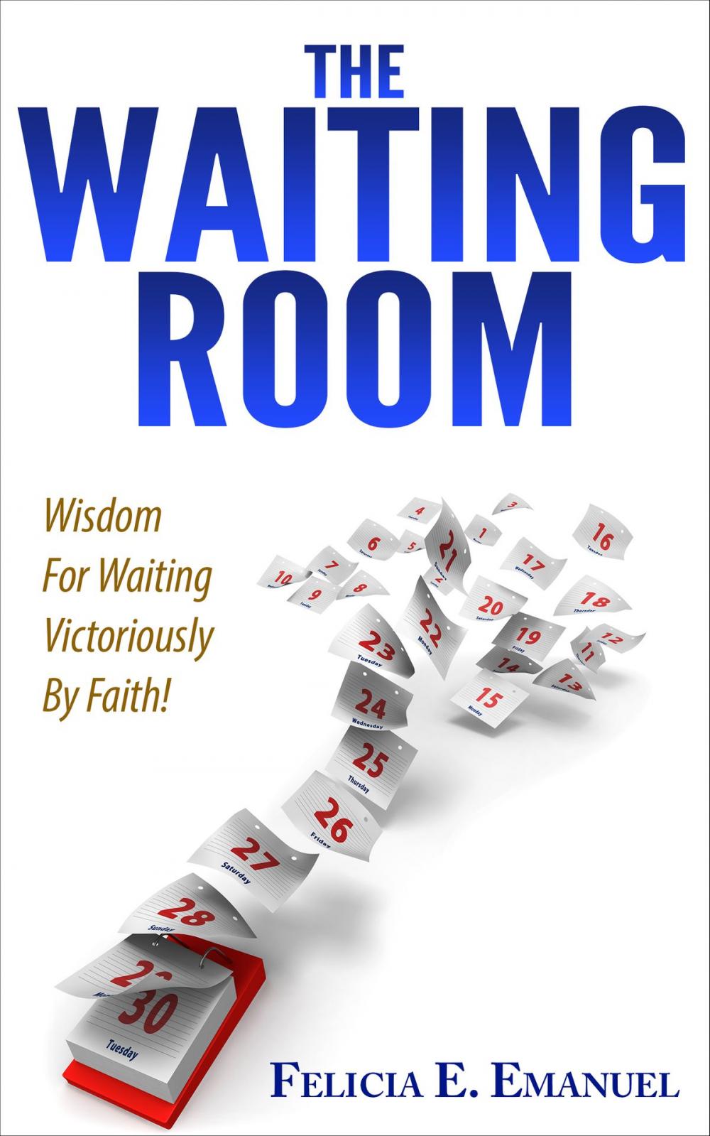 Big bigCover of The Waiting Room