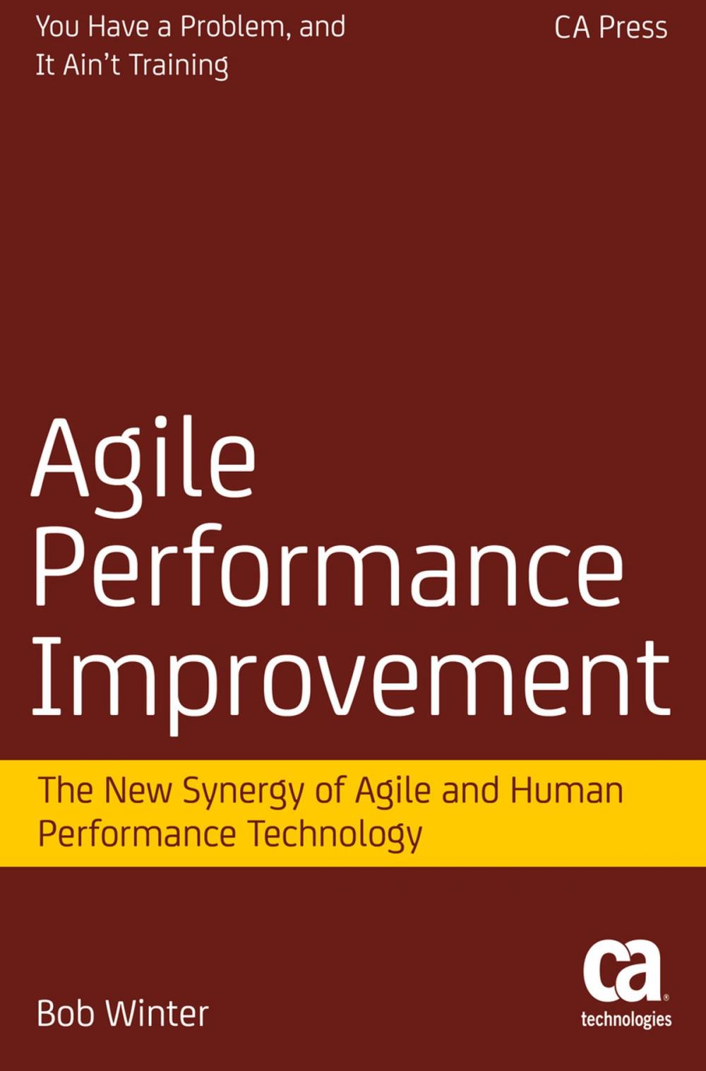 Big bigCover of Agile Performance Improvement