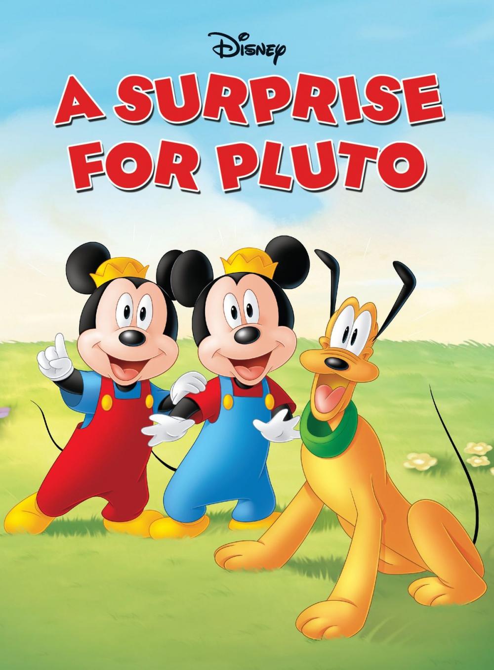 Big bigCover of A Surprise for Pluto