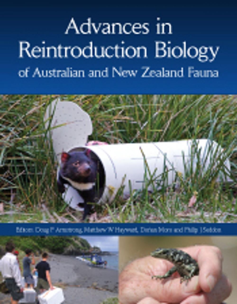 Big bigCover of Advances in Reintroduction Biology of Australian and New Zealand Fauna