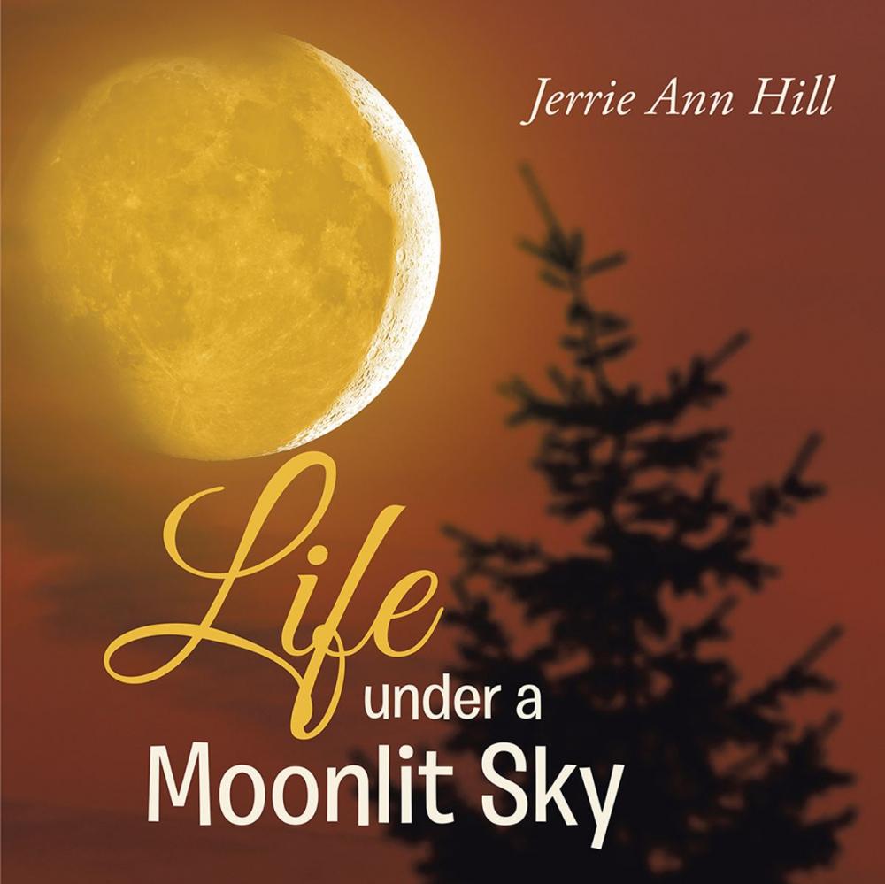 Big bigCover of Life Under a Moonlit Sky