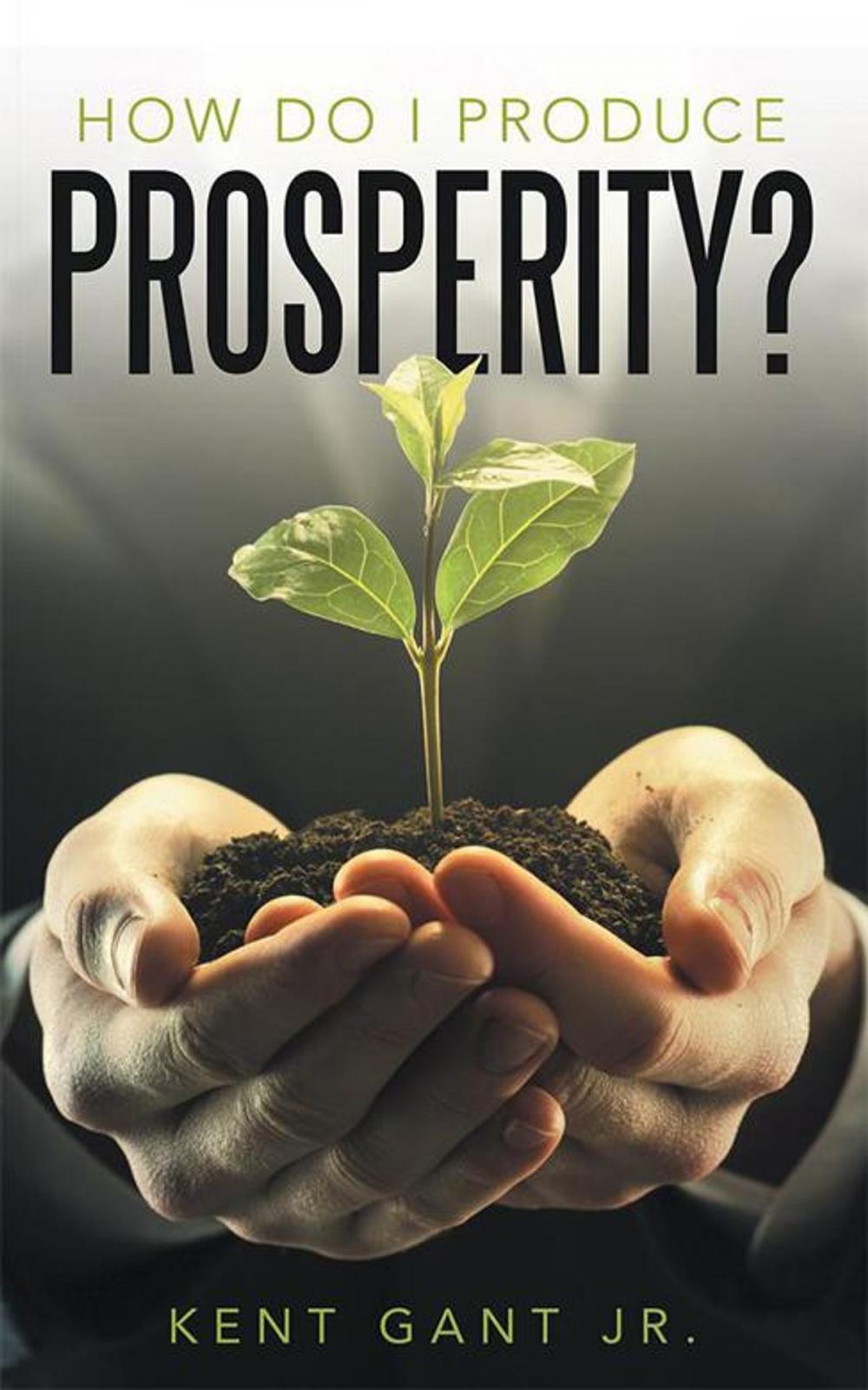 Big bigCover of How Do I Produce Prosperity?