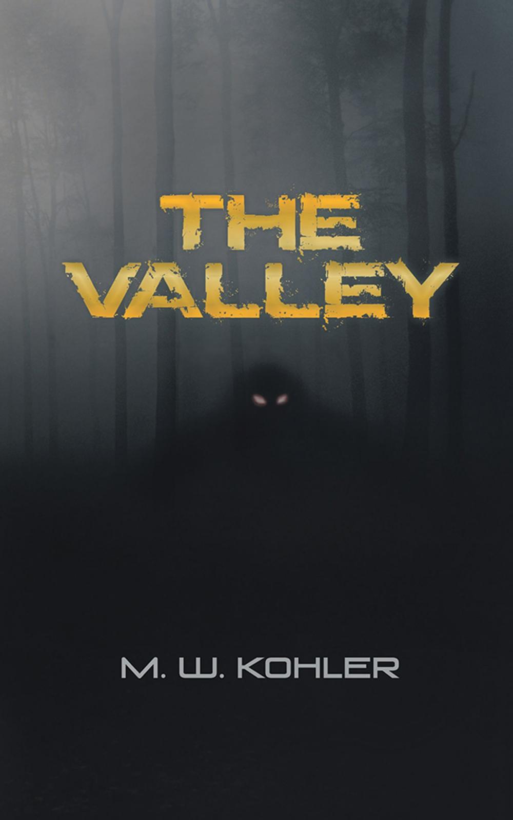 Big bigCover of The Valley