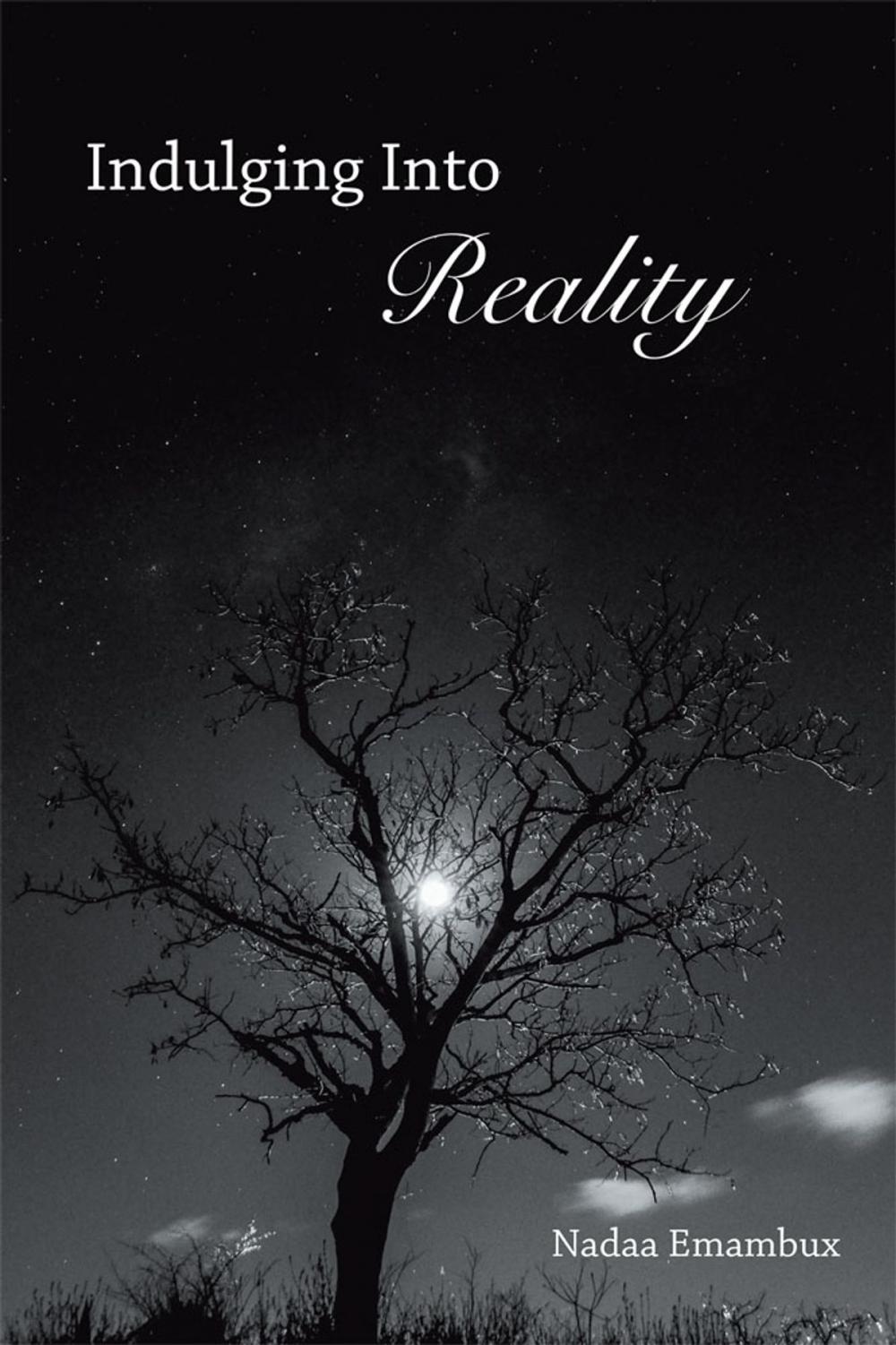 Big bigCover of Indulging into Reality