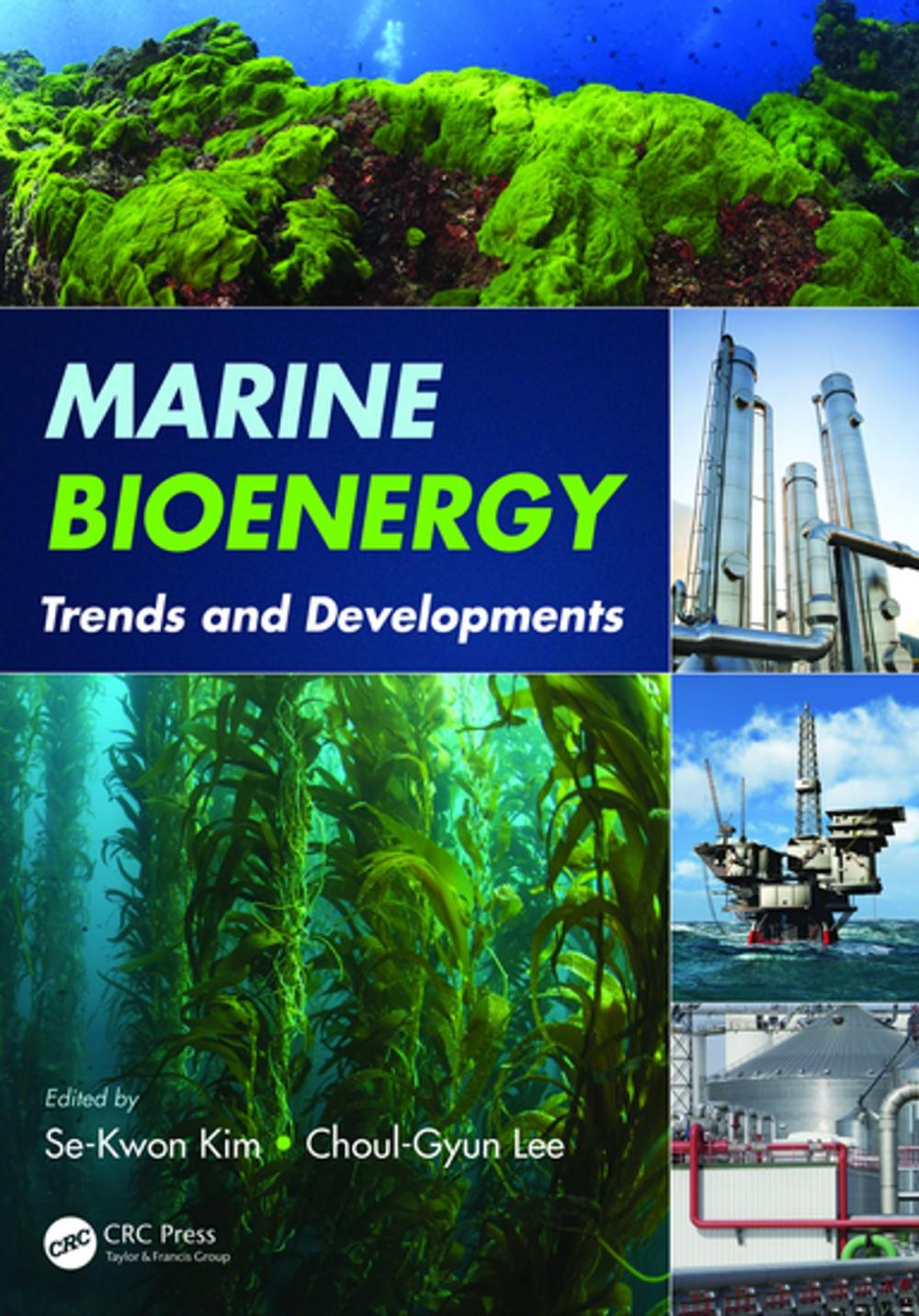 Big bigCover of Marine Bioenergy