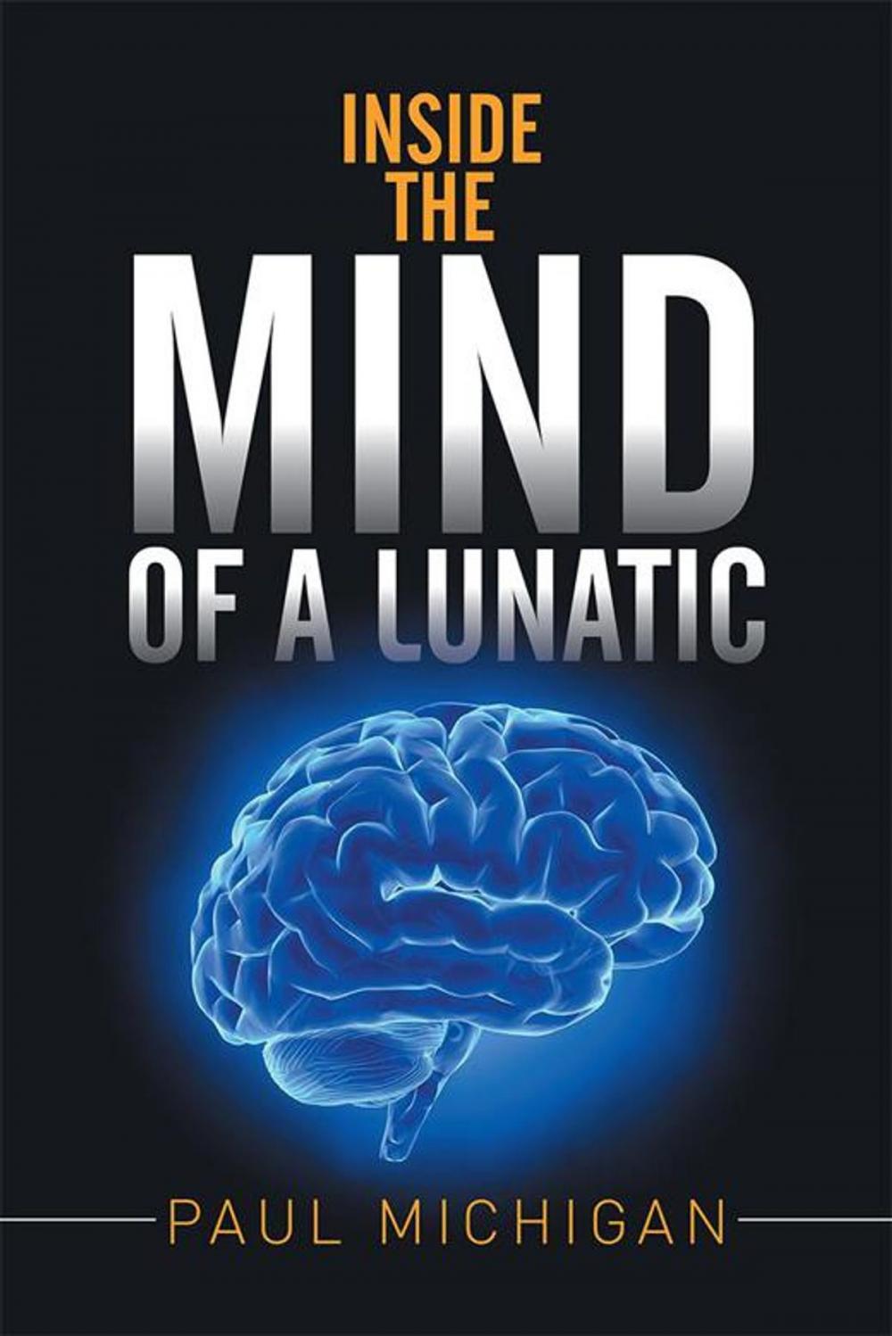 Big bigCover of Inside the Mind of a Lunatic