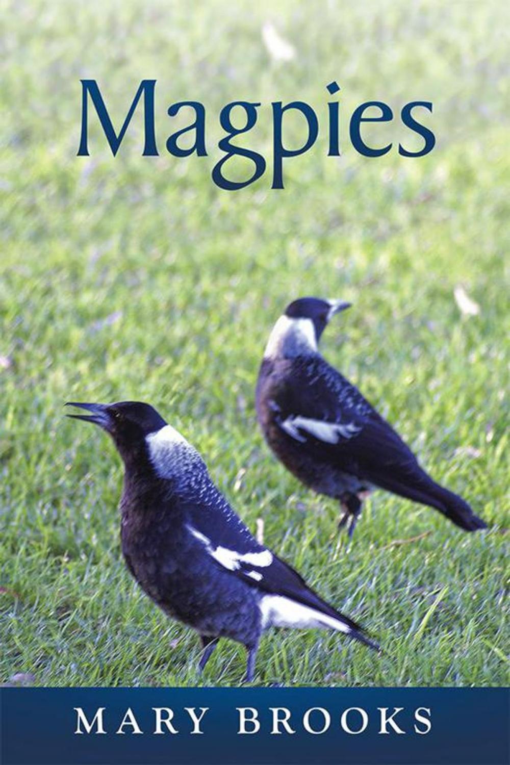 Big bigCover of Magpies