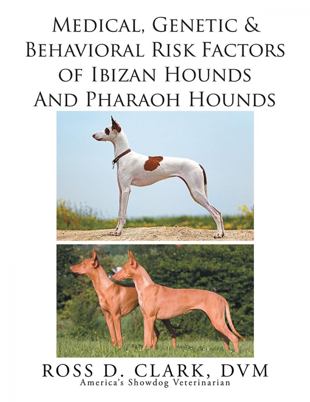 Big bigCover of Medical, Genetic & Behavioral Risk Factors of Ibizan Hounds and Pharoah Hounds