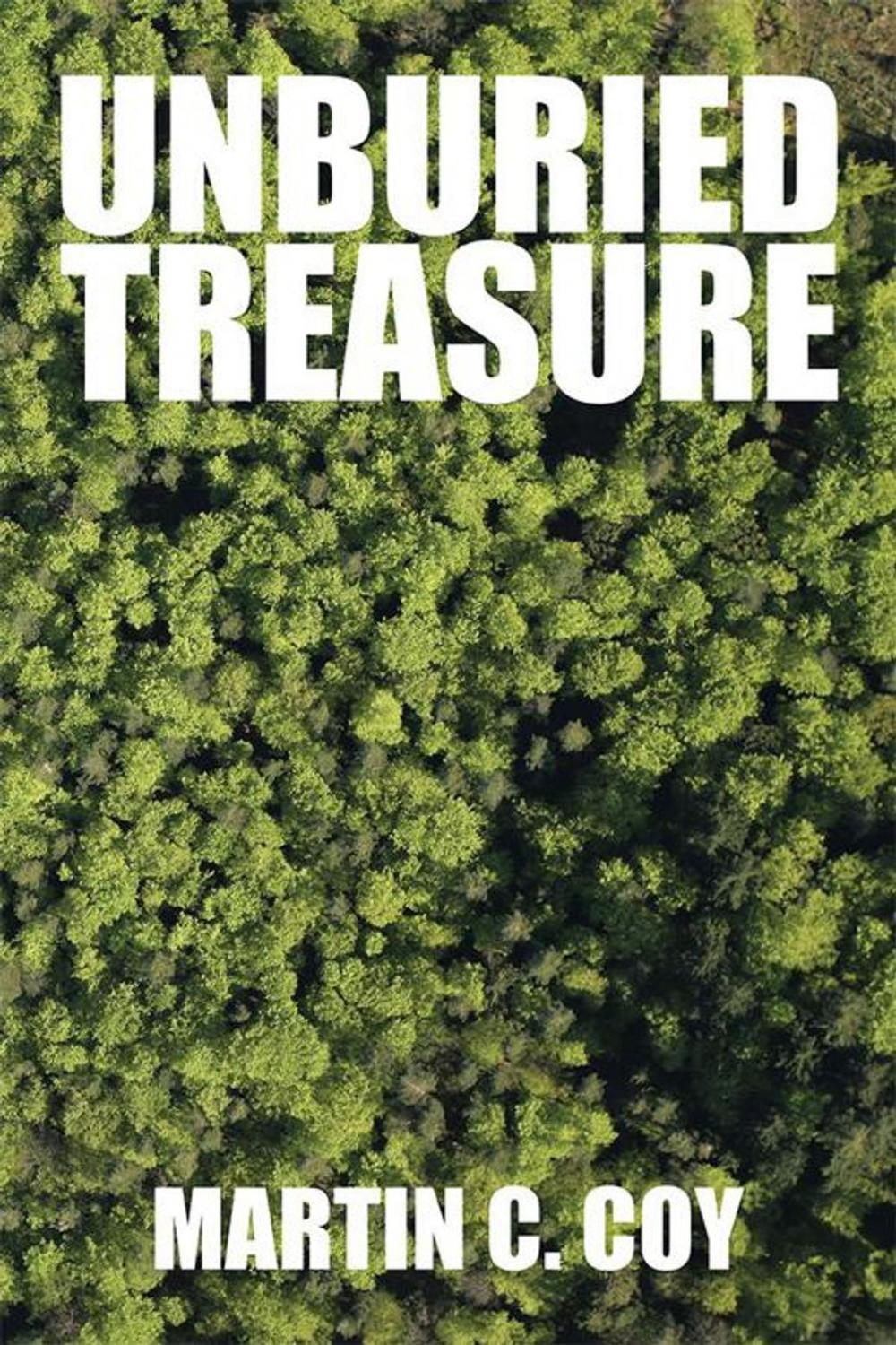 Big bigCover of Unburied Treasure