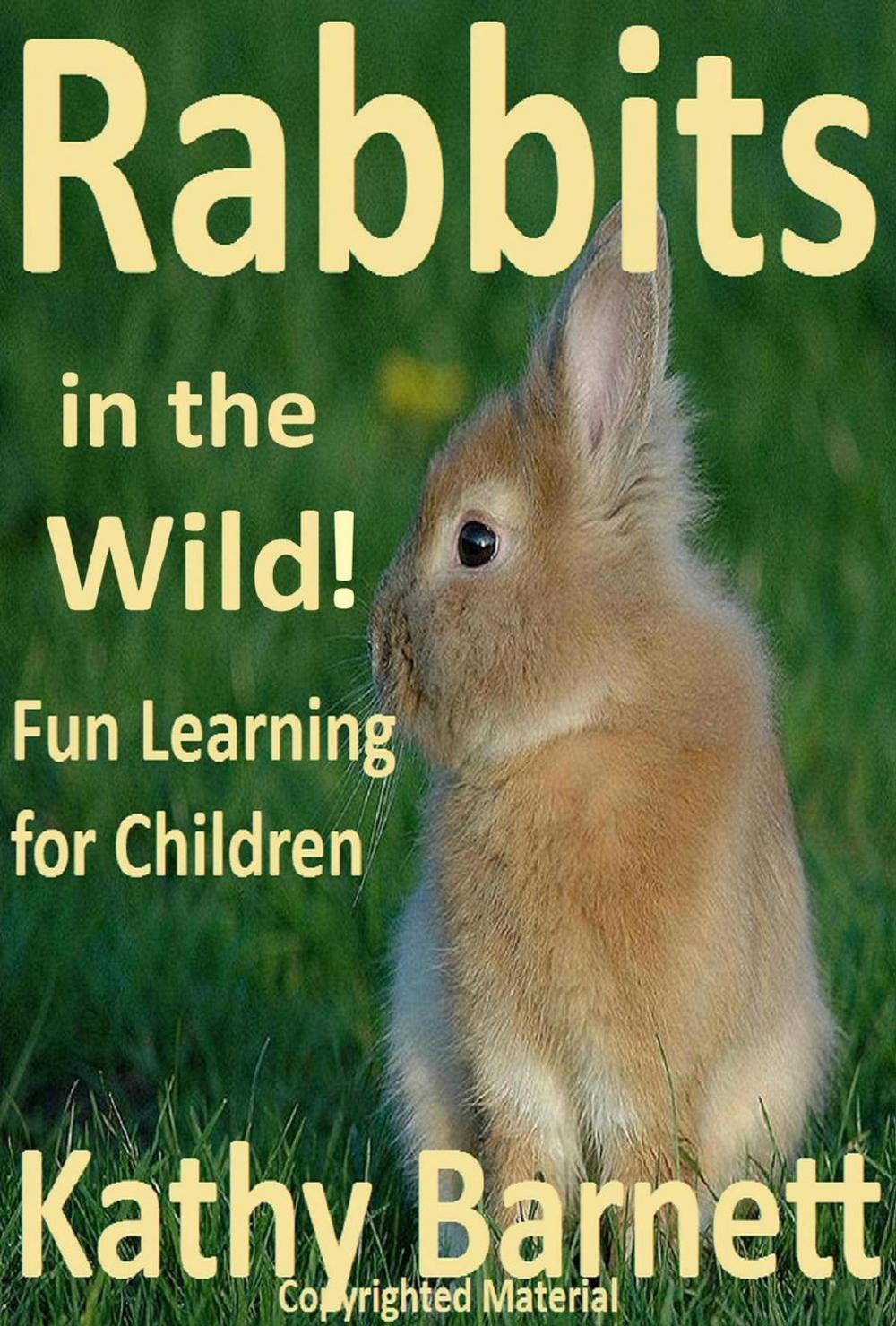 Big bigCover of Rabbits in the Wild!