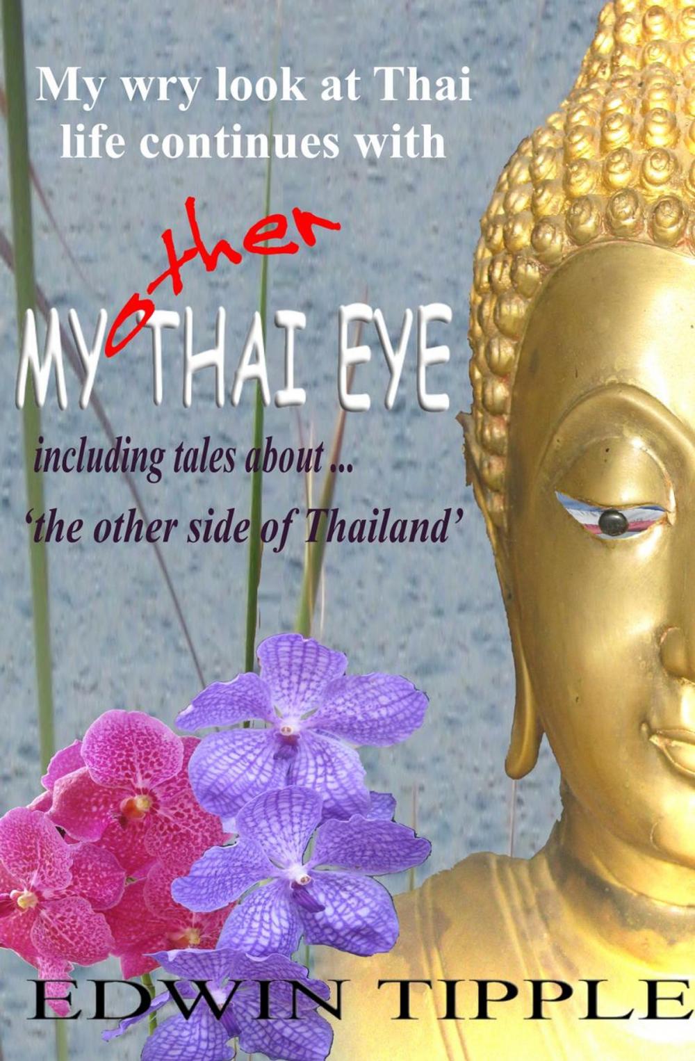 Big bigCover of My Other Thai Eye