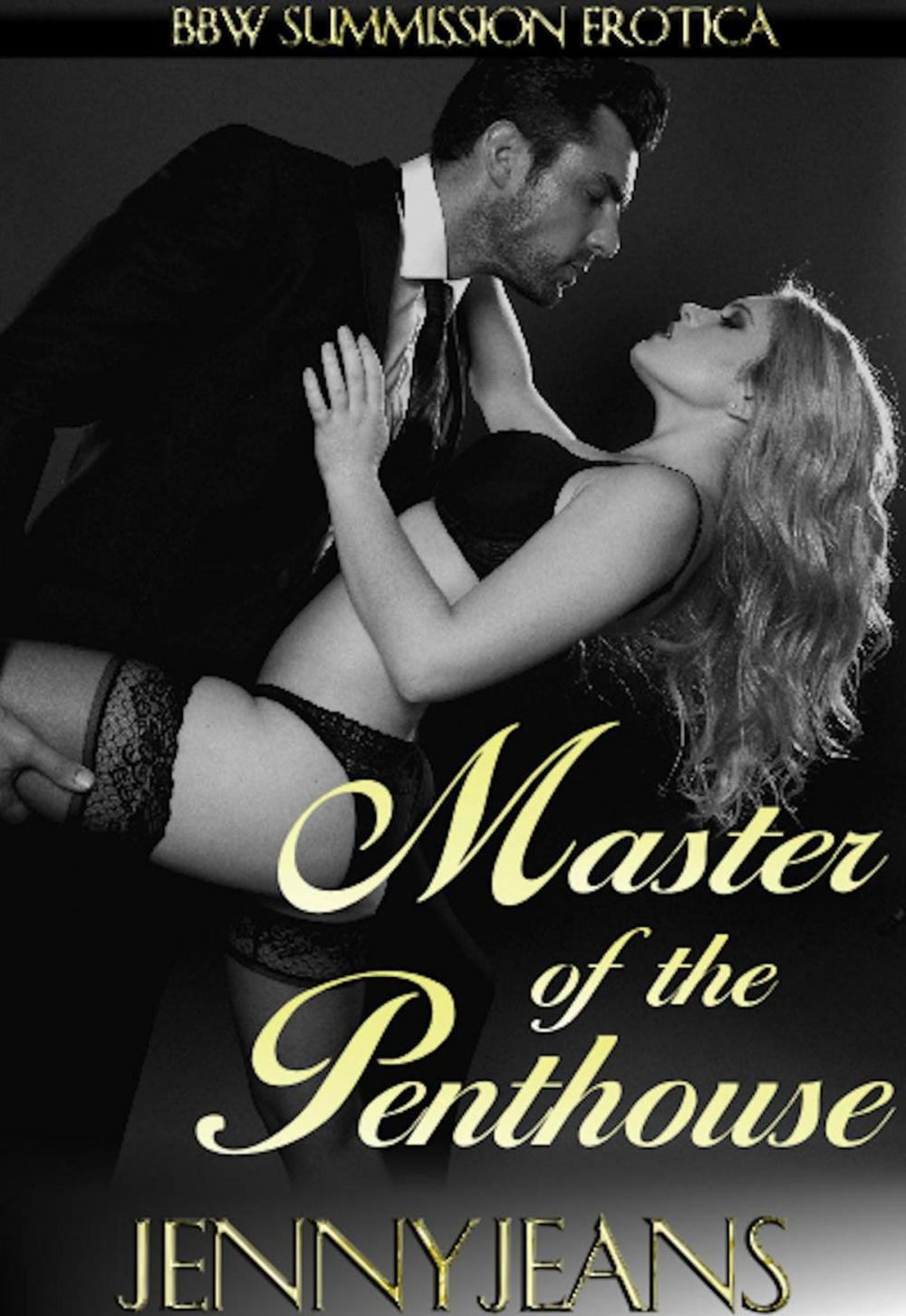 Big bigCover of Master Of The Penthouse's Maid