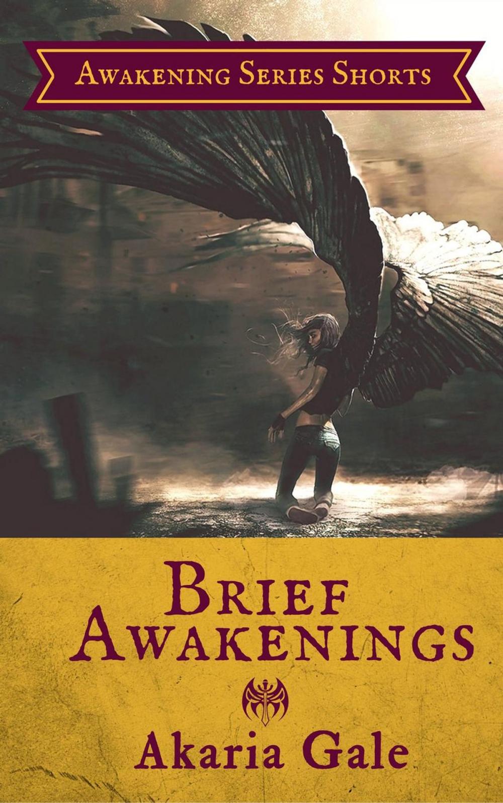 Big bigCover of Brief Awakenings