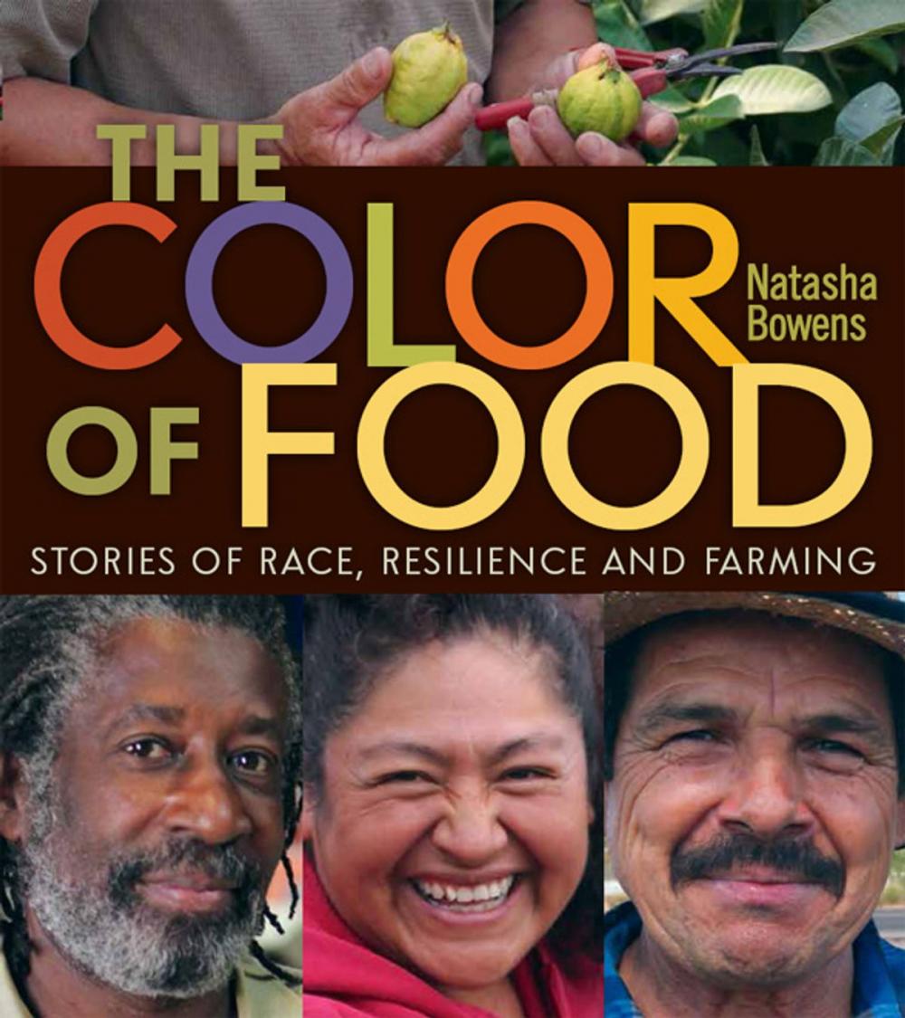 Big bigCover of The Color of Food