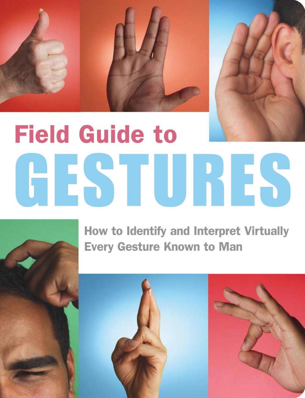 Big bigCover of Field Guide to Gestures