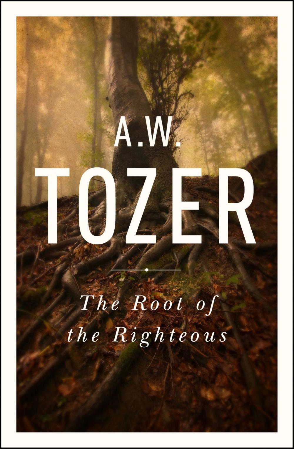 Big bigCover of The Root of the Righteous