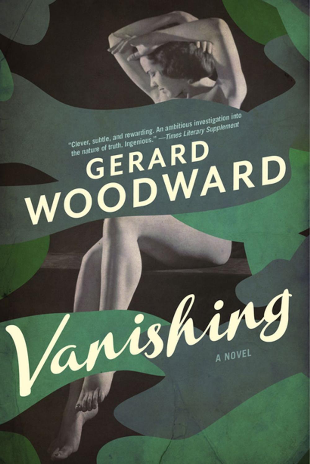 Big bigCover of Vanishing: A Novel