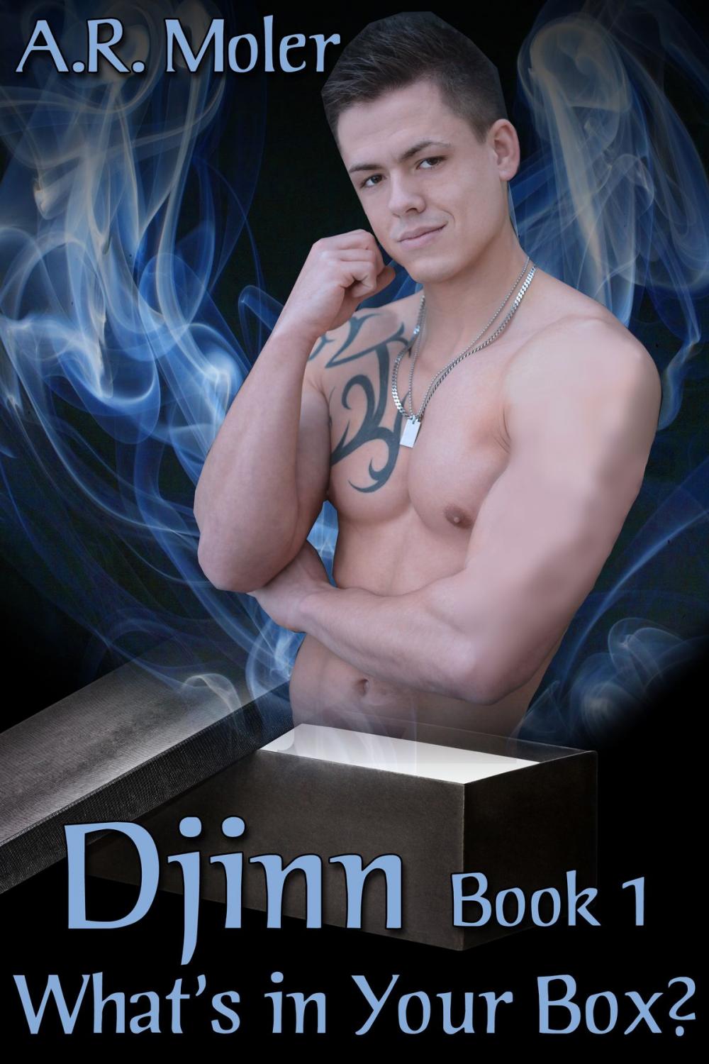 Big bigCover of Djinn Book 1: What's in Your Box?