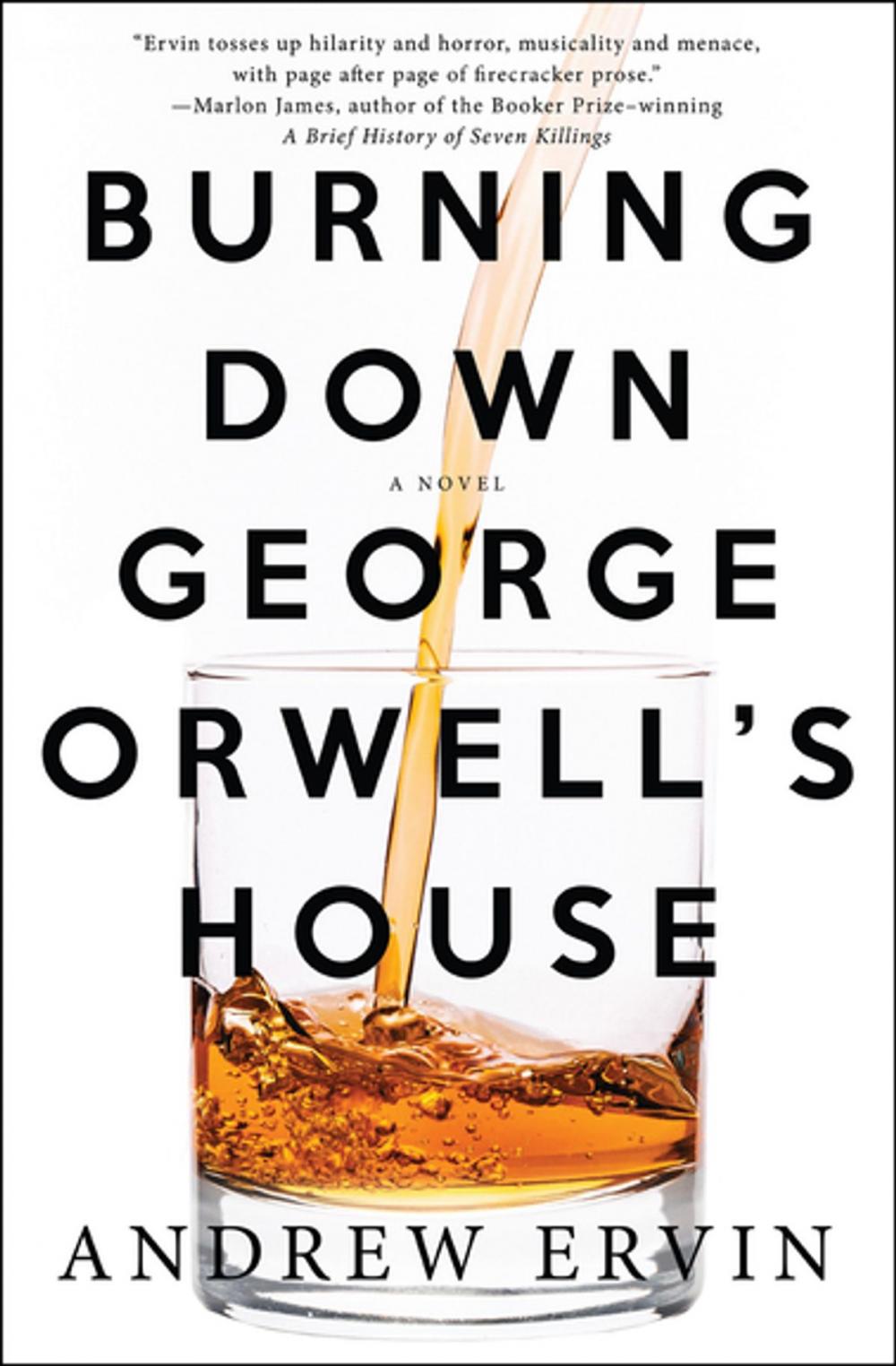 Big bigCover of Burning Down George Orwell's House