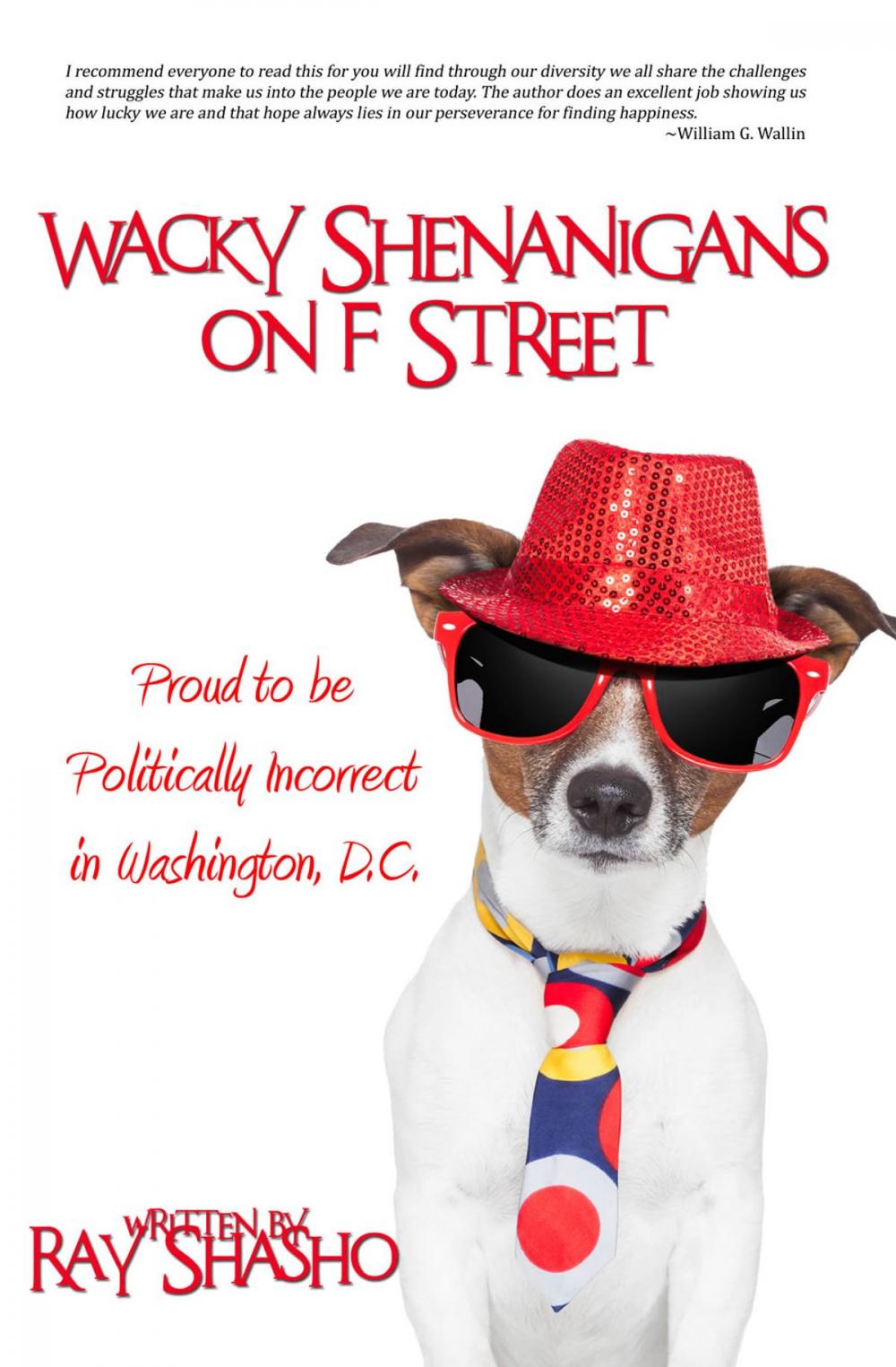 Big bigCover of Wacky Shenanigans on F Street