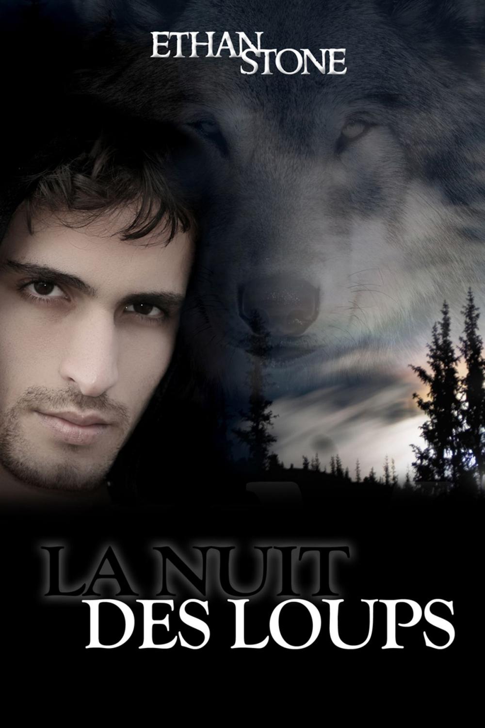 Big bigCover of La nuit des loups